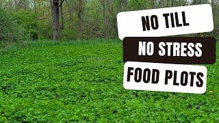 Growing the ULTIMATE Food Plots - No Till, No Stress, No Problem