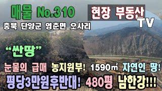 급매 평당3만원후반대 남한강 조망 1590㎡ 480평 자연인 땅 싼땅 농지원부 만들기 고지대 자연인 토지 나무 약초 심기 충북 단양군 영춘면 오사리 토지 매매 영춘부동산 단양부동산