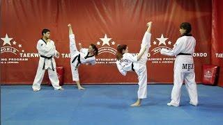 World Taekwondo Training Program -English language presentation!