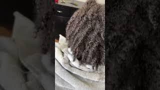 Her very first retwist on starter locs