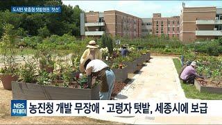 도시민 맞춤형 텃밭 정원 ‘첫선’…고령자‧장애인도 이용 가능