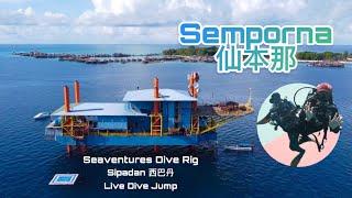 Semporna Dive Trip EP1 - Sipadan | Jackfish Storm | Seaventures Dive Rig