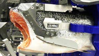 Modern Food Processing Technology That Are At Another Level | Best Moments of 2023