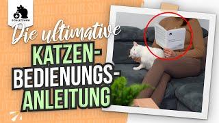 Lustige Katzen Bedienungsanleitung  Katzen lustig, Betriebsanleitung, Instandhaltung