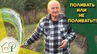 Бублик Б.А. Поливать  или не поливать  растения на огороде. Огород без хлопот