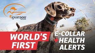 SportDOG® FieldSentinel™ Series with BodyGuard™ Health Alerts