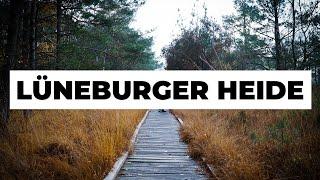 Germany's Lüneburg Heath: 3 great nature travel tips