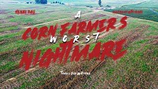 Corn Farmer's Worst Nightmare - Ep. 10 Farm Life with Henry