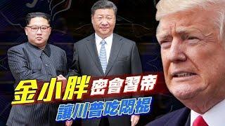 【一粥國際】誰先牽上金小胖手　陰沉習帝VS囂張川普的朝鮮半島對決 | 一粥國際 | 台灣蘋果日報