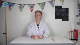 Timstar Junior Scientist - November Experiment - Neodymium Magnets