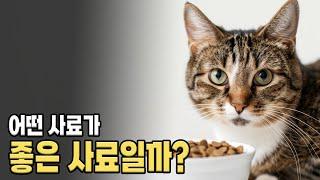 고양이 좋은 사료를 고르는 요령. 어떤 사료가 좋은 사료일까?