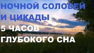 КРЕПКИЙ СОН ПОД ПЕНИЕ НОЧНОГО СОЛОВЬЯ,СВЕРЧКОВ И  ЦИКАД ВАМ ОБЕСПЕЧЕН.ЗВУКИ ПРИРОДЫ БЛАГОТВОРНЫ.