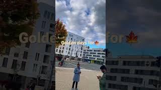 Golden days in #Germany#Yedukondalu Gangisetty#shorts#shortvideo #youtubeshorts#youtube#nature