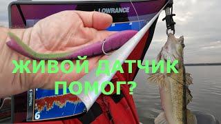 Рыбалка с Паноптикс от Лоуранс , Lowrance Active target 2. Panoptix  Active target 2