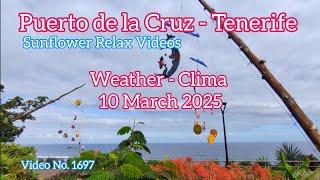 Tenerife ️ Puerto de la Cruz Morning Weather 10 March 2025