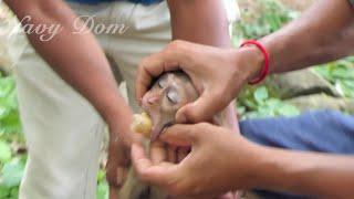 Rescue teams help removing bottle cap from baby Linda, poor baby got stuck cap in mouth 2 day