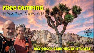 Free Camping- Joshua Tree National Park. Review of Dispersed Camping on BLM Land (Joshua Tree South)