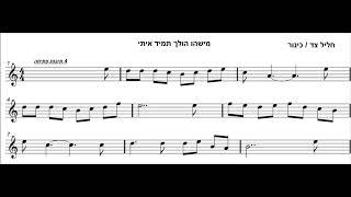 פלייבק, תווים, מישהו הולך איתי,חליל צד,כינור,אבוב