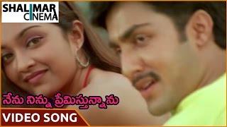 Nenu Ninnu Premistunnanu Movie || Doorana Video Song || Prasanna Keerti Shaheen