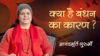 क्या है बंधन का कारण | Anandmurti Gurumaa