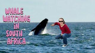 Whale Watching Guide with Travel Tips (South Africa)