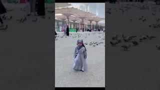 MASHALLAH|AZIAL ZULQARNAIN  KE MADINA MA MASTIYA