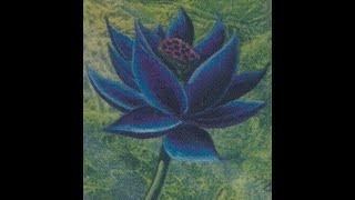 Magic the Gathering MTG 30th Anniversary 4 pack opening Power 9! Black Lotus Pull! Grail Proxy! $$$$