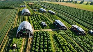 CHINA'S NEW FARMING TECHNOLOGY: New Crop Production System