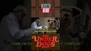 #talkingheads #parody #dogs #dogshorts