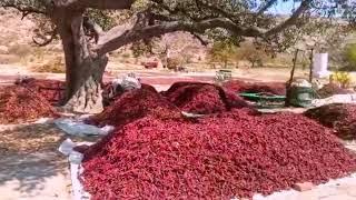Hazrath Bade Shavali R. A | Kottakote | vidpanakallu | Faqrulwara