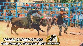 SANTO DOMINGO ALBARRADAS ASI SE VIVIO EL TORNEO DE TOROS DE LIDIA