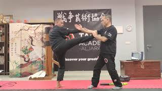 Miguel Molina, TAOWS Academy Aljarafe (Sevilla) -Wing Chun Day 2021