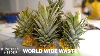 Plates Made From Pineapple Scraps Grow Edible Plants | World Wide Waste