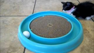 Presenting the Bergan Turbo Scratcher!