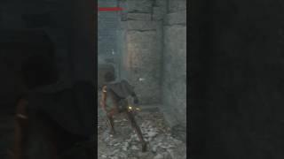 寶物近在眼前？ Is the treasure close at hand?