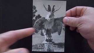 Jackalope Postcard Museum: The Flying Jackalope