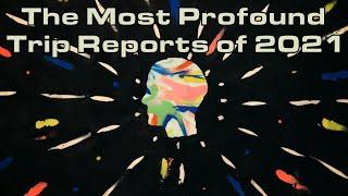 The Most Profound Trip Reports of 2021