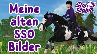 Ich reagiere auf meine alten SSO Screenshots  | SSO | Meine Star Stable Screenshots 02