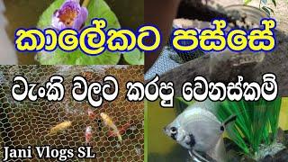 කාලේකට පස්සේ ටැංකි වලට කරපු වෙනස්කම් - Kalekata Passe Tank Walata Karapu Wenaskam - Jani Vlogs SL