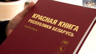 КРАСНАЯ КНИГА БЕЛАРУСИ | Зеленая среда