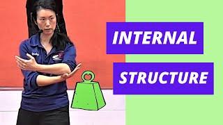 Tai Chi Beginners Lesson: Internal Mechanics 101