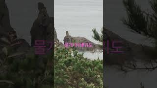 #물개바위#위도#유네스코 세계문화유산의섬#