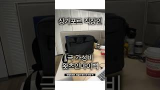 싱가포르 외노자 가성비 왓츠인마이백