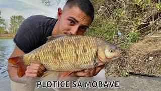 PECANJE PLOTICE NA VELIKOJ MORAVI - LUDE BORBE