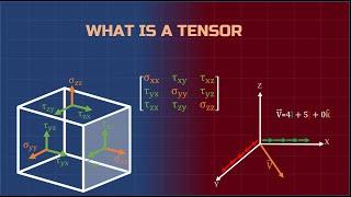 Tensors