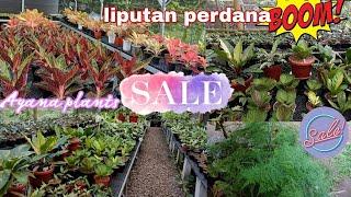 Liputan Perdana  Nemu Harta Karun stock lengkap, kwalitas oke,Harga Discount eps.1.912