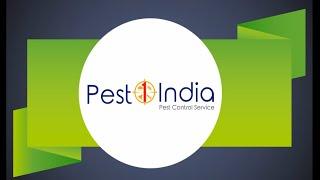 Pest1india