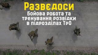 Развєдоси. Бойова робота та тренування розвідки в підрозділах ТрО ЗСУ