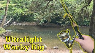 Creek fishing with the wacky rig