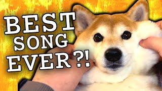 The SHIBA INU song music video (Bork's version)